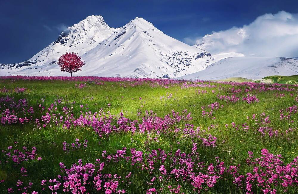 背景画像